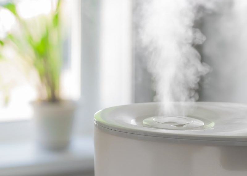 elixseri winter skincare advice on humidifiers. Humidifier with steam