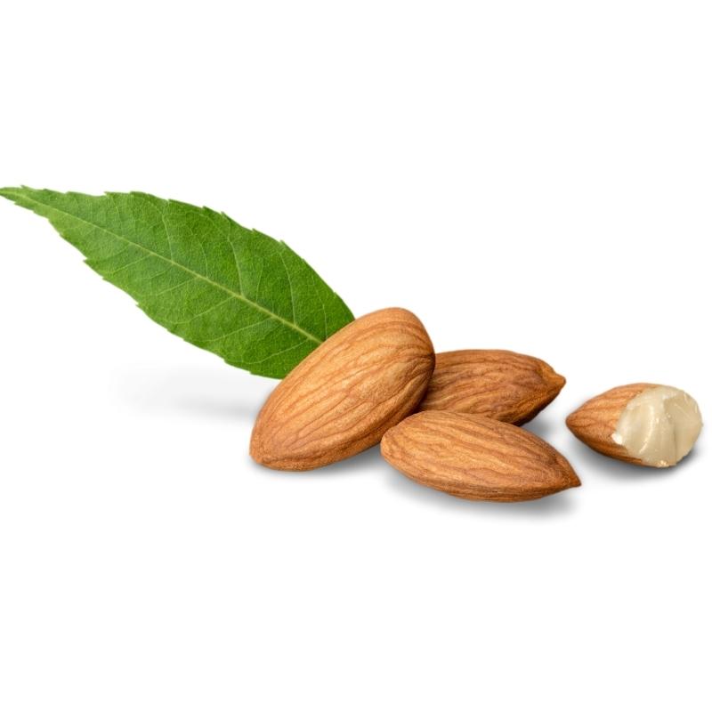 SWEET ALMOND OIL