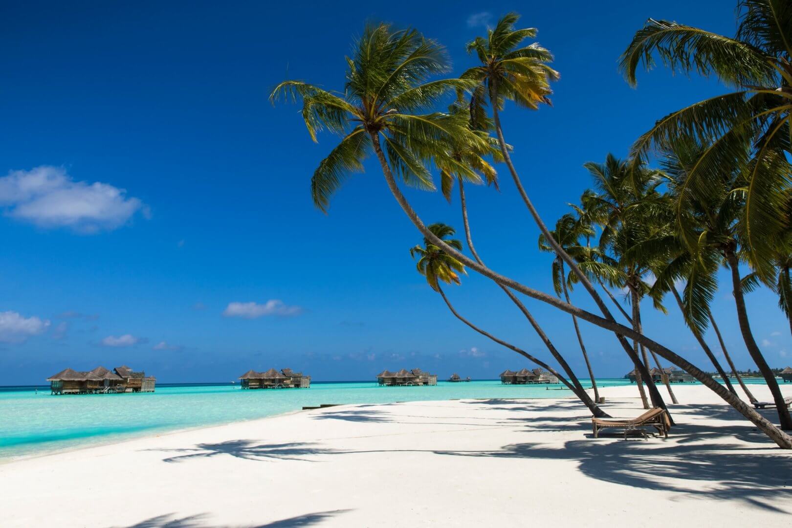 An image of the Maldives depicting beach huts in the sea and tall green palm trees on the white sand.