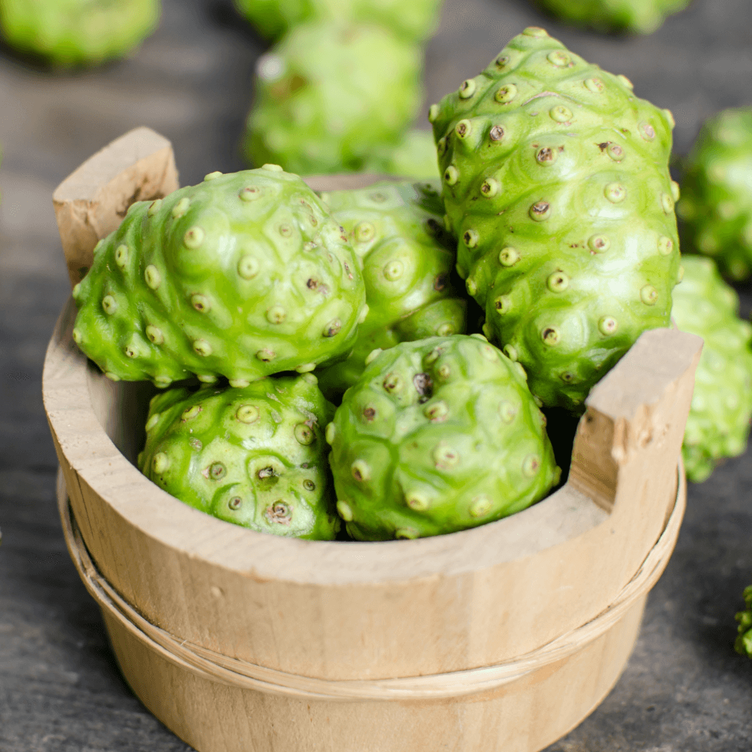 A wooden bowl full of green Noni fruit