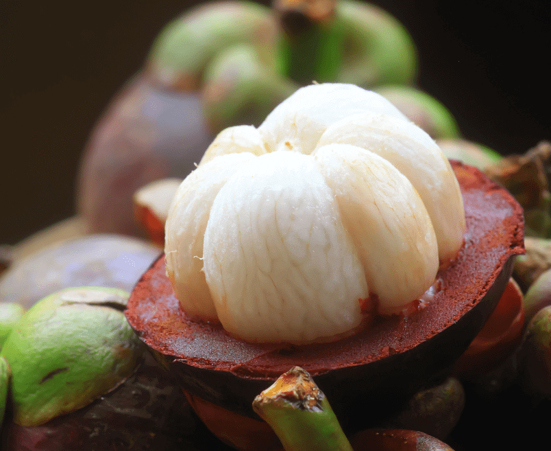 Eine Nahaufnahme des Fruchtfleisches einer Mangostanfrucht
