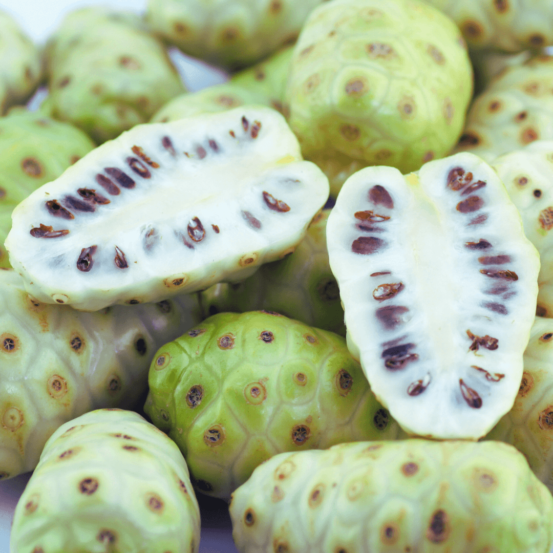 Prebiotic Noni ferment has over 200 potent antioxidant and anti-inflammatory compounds which protect the skin's collagen system.