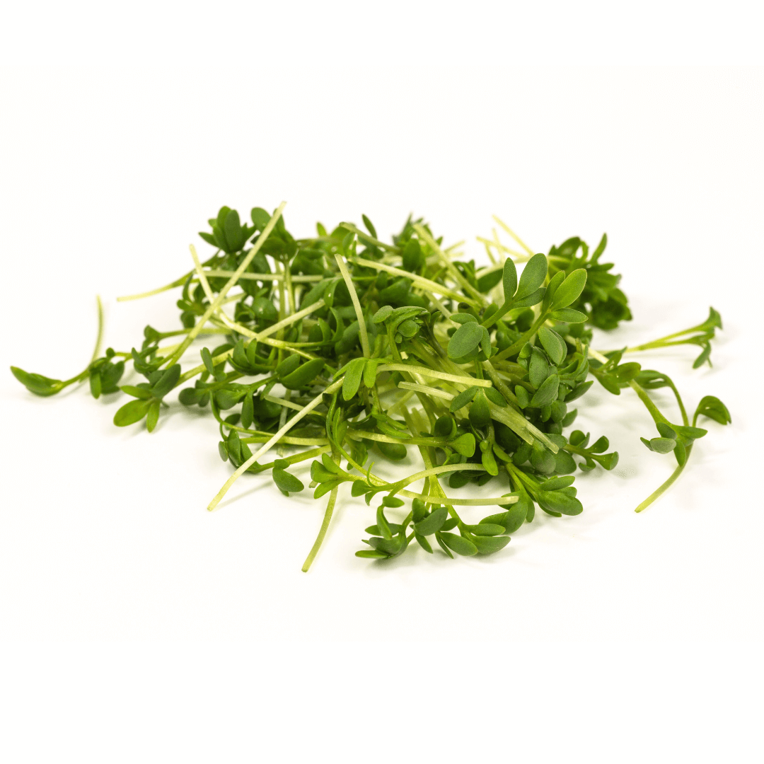 Ein Strauß grüner Gartenkresse, der Isothiocyanate enthält - leistungsstarke, hautfreundliche Verbindungen. Die Schweizer Gartenkresse wird im Serum Elixseri Skin Meditation verwendet.